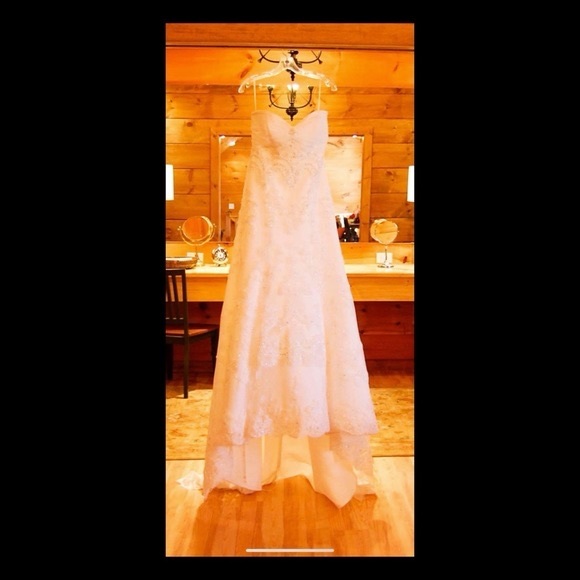 Casablanca Style 1914 Wedding Dress Color Ivy - Picture 3 of 12